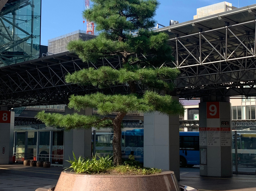 金泽站景点图片