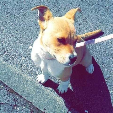 探索North Cornelly