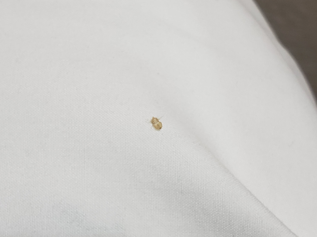 Hotel San Francisco主图