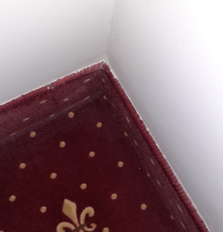 Hotel Perlage Florence主图