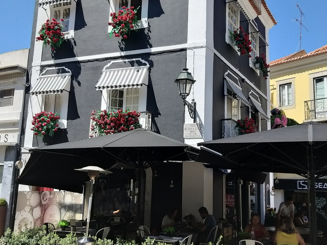 Avenida Luisa Todi景点图片