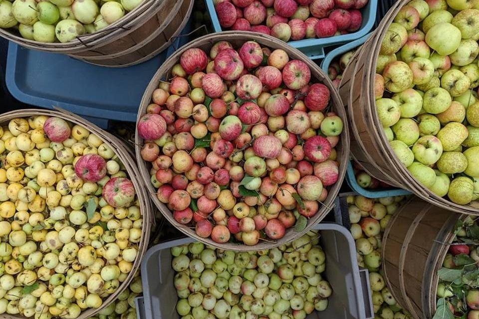 Ugly Apple Cider and Wines景点图片