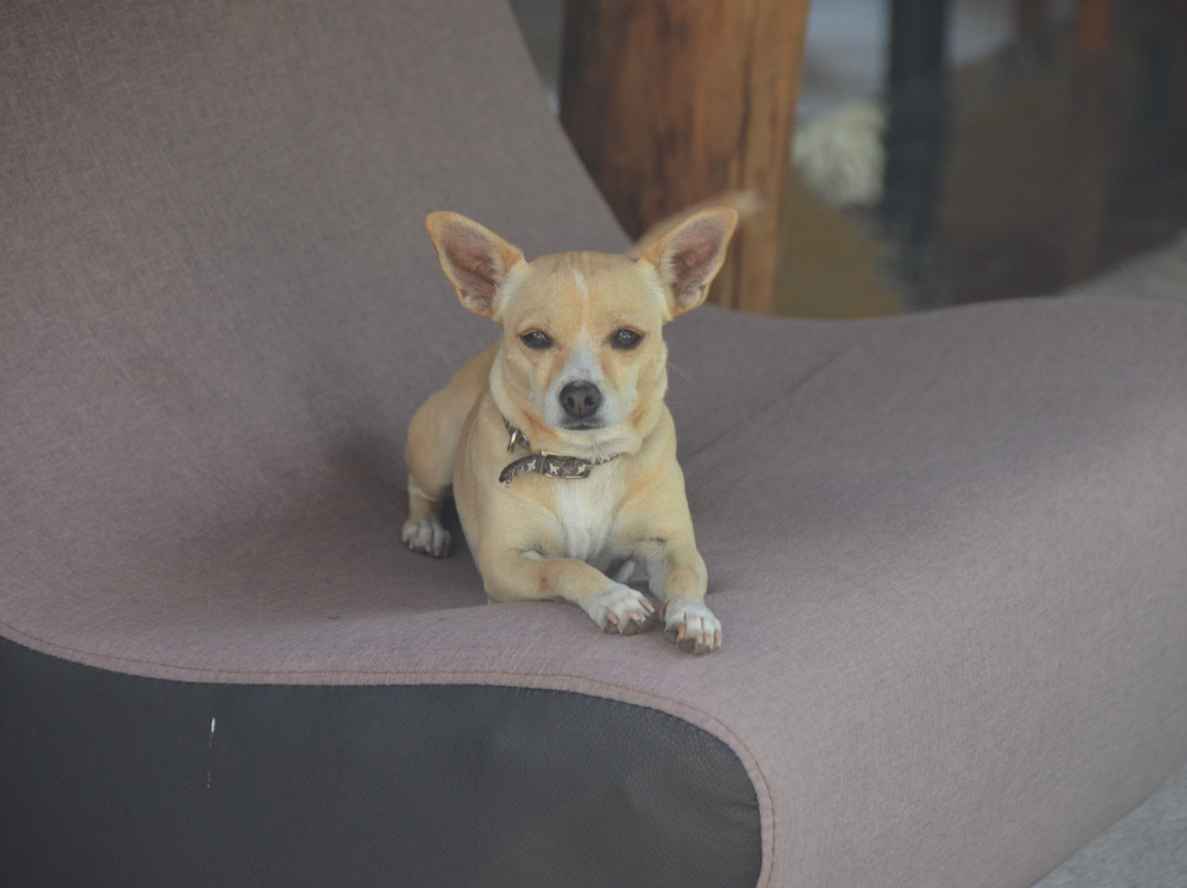 Hotel Paradise Boutique & Lounge主图