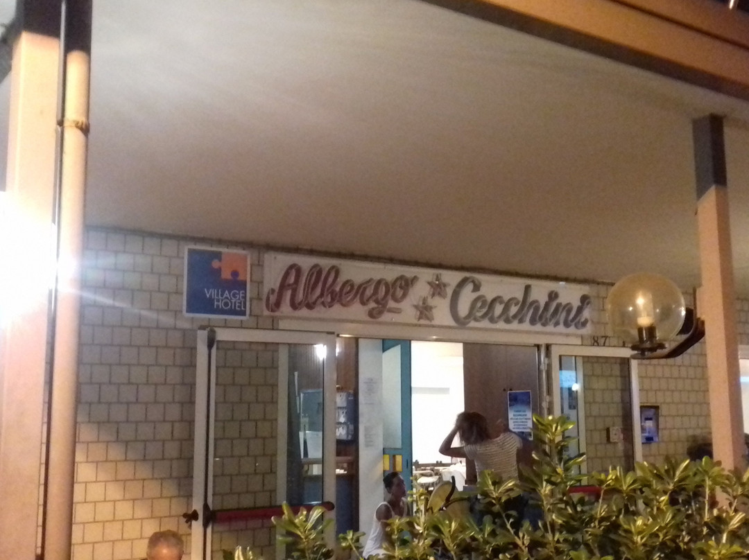 Hotel Villa Cecchini主图