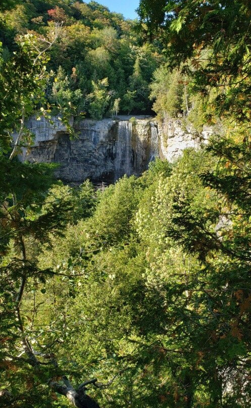Eugenia Falls Conservation Area景点图片