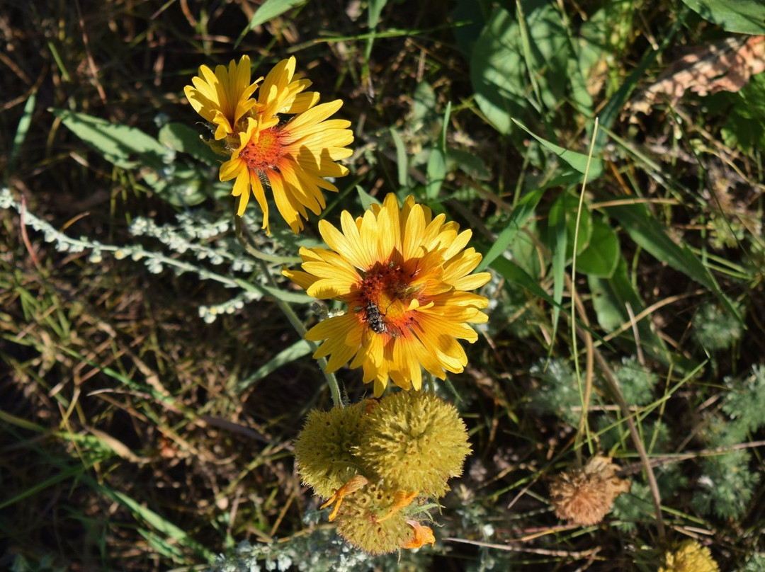 Bridal Veil Falls-落基山国家公园必去景点