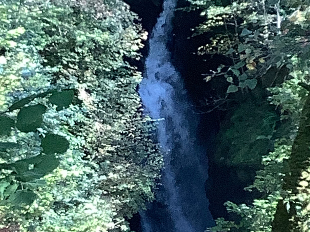 Aira Force Waterfall景点图片