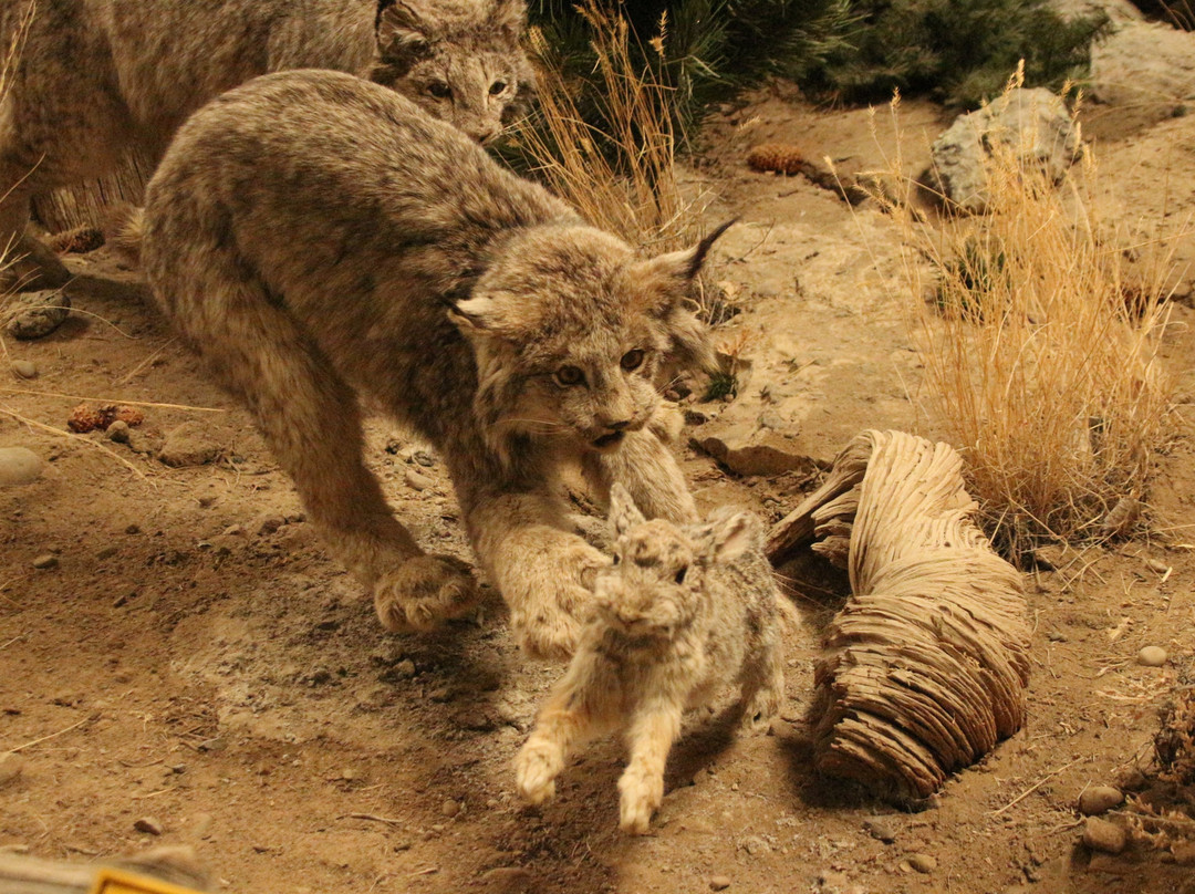 Wind River Heritage Center-Riverton必去景点