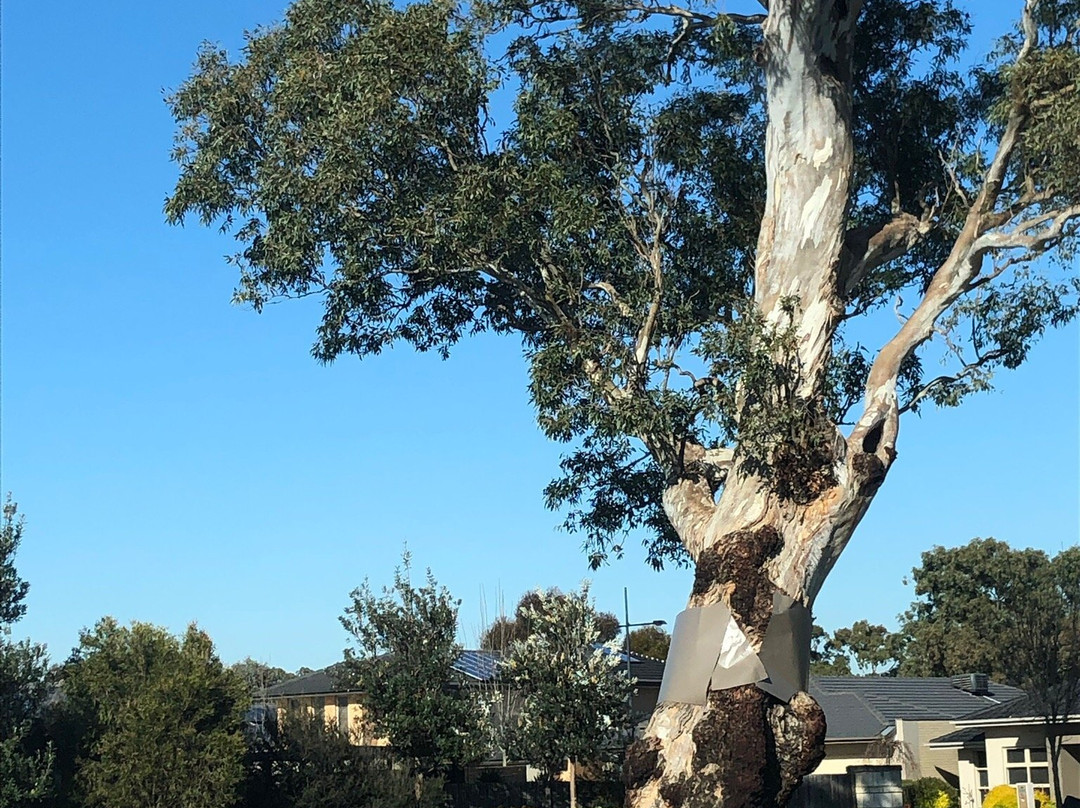 Sandhurst Playground景点图片