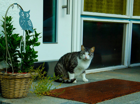 Haus Auer Irene主图