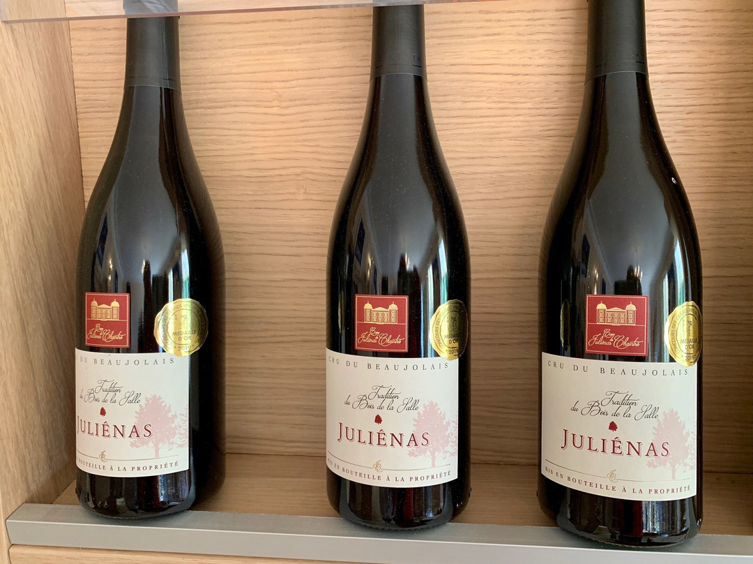Cave de Julienas (Julienas Chaintre Vignerons Associes)-Julienas必去景点