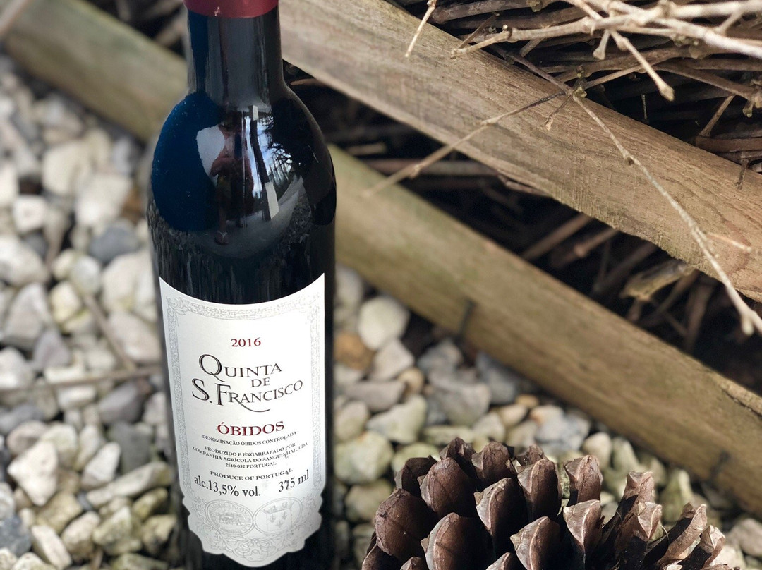 Quinta Da Olivia主图