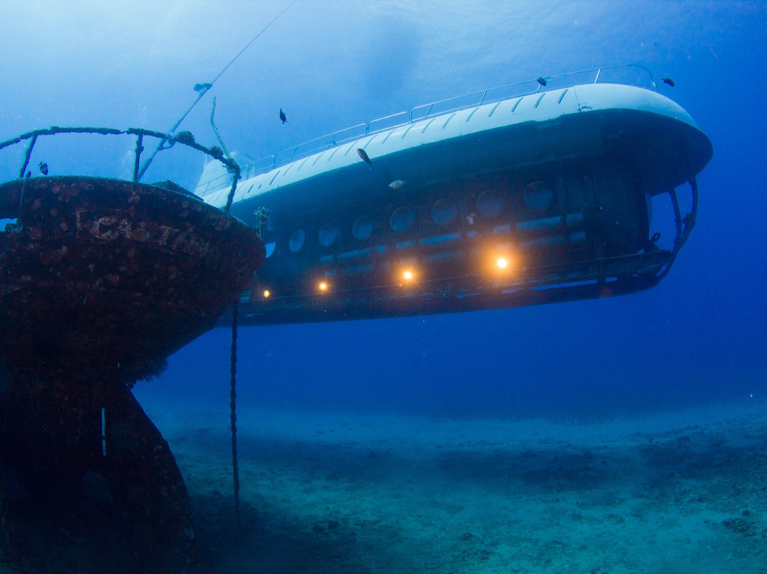 Atlantis Submarines Maui景点图片