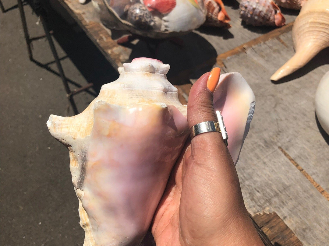 Haleiwa Shell Stand-哈雷瓦必去景点