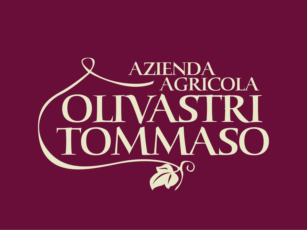 Cantina Olivastri Tommaso景点图片