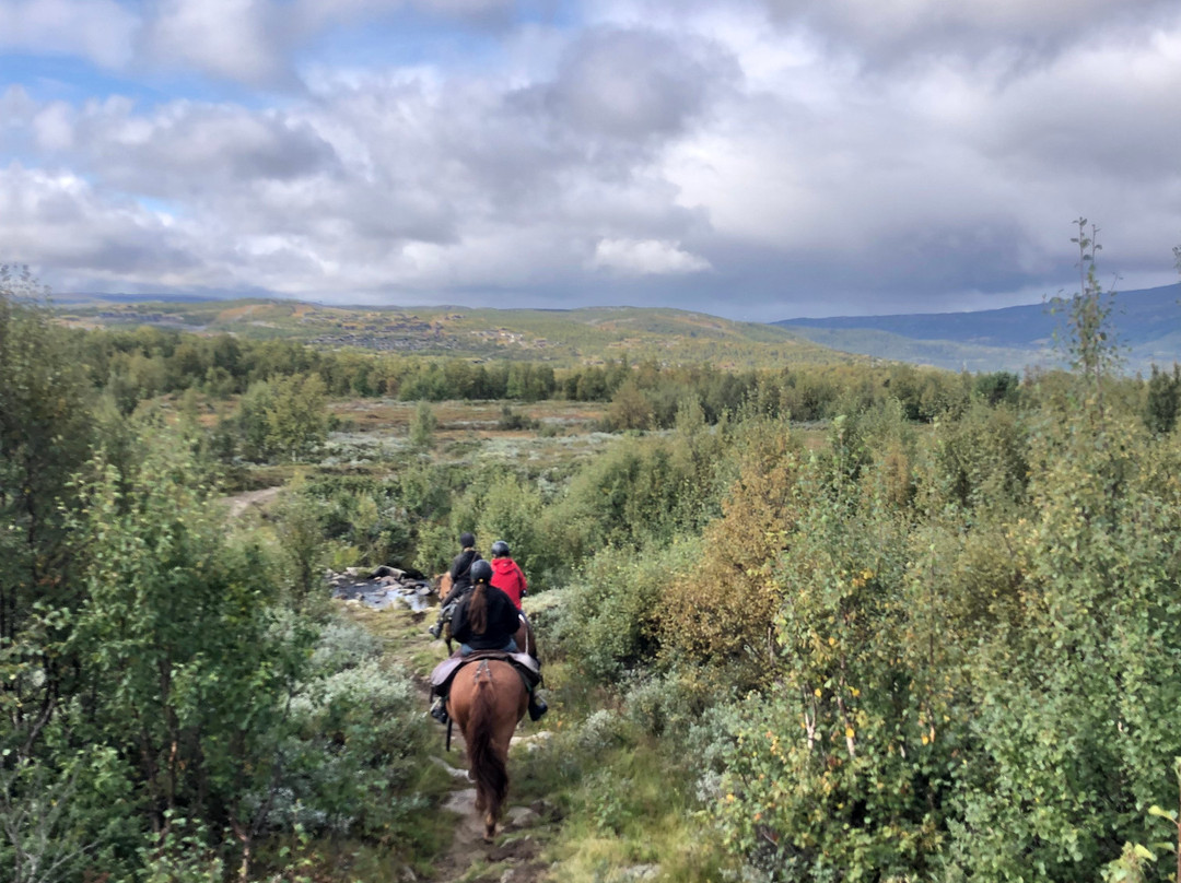 Geilo Hestesenter景点图片