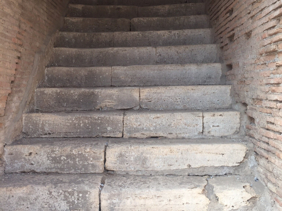 Ostia Tours - Ostia Antica Tours-Ostia Antica必去景点