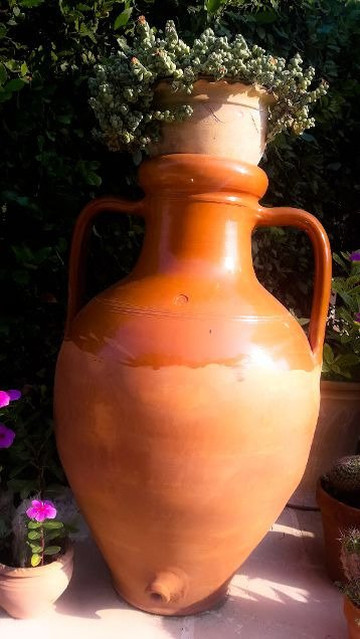 地中海的太阳主图