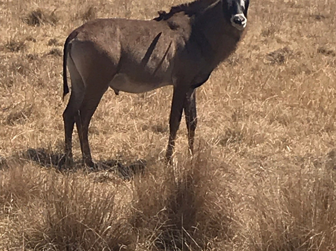 Emerald Animal World-范德毕玖帕克必去景点