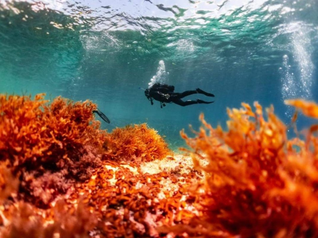 Mocean Images-Xlendi必去景点