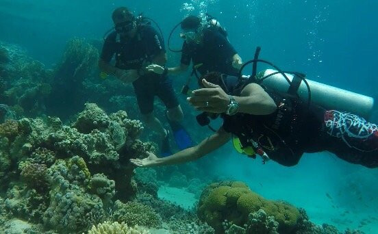 TGI Diving Marsa Alam景点图片