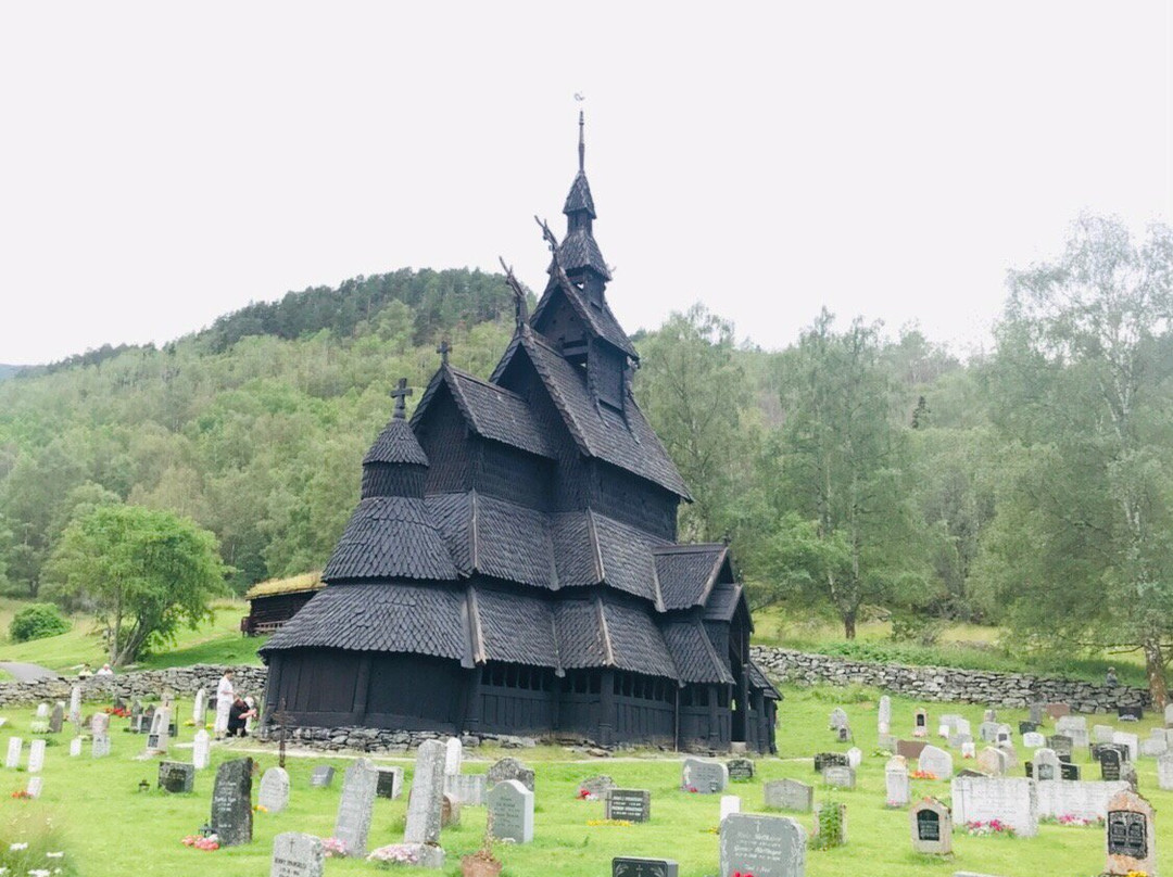 Scandinavian Global Tours-卑尔根必去景点
