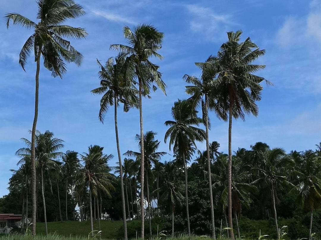 Coral Hotel Bangsaphan主图