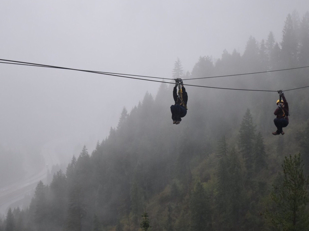 Silver Streak Zipline Tours景点图片