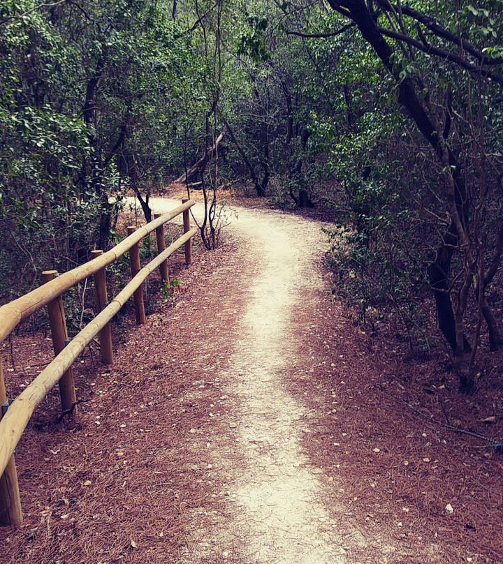 Parque Florestal De Monsanto-里斯本必去景点