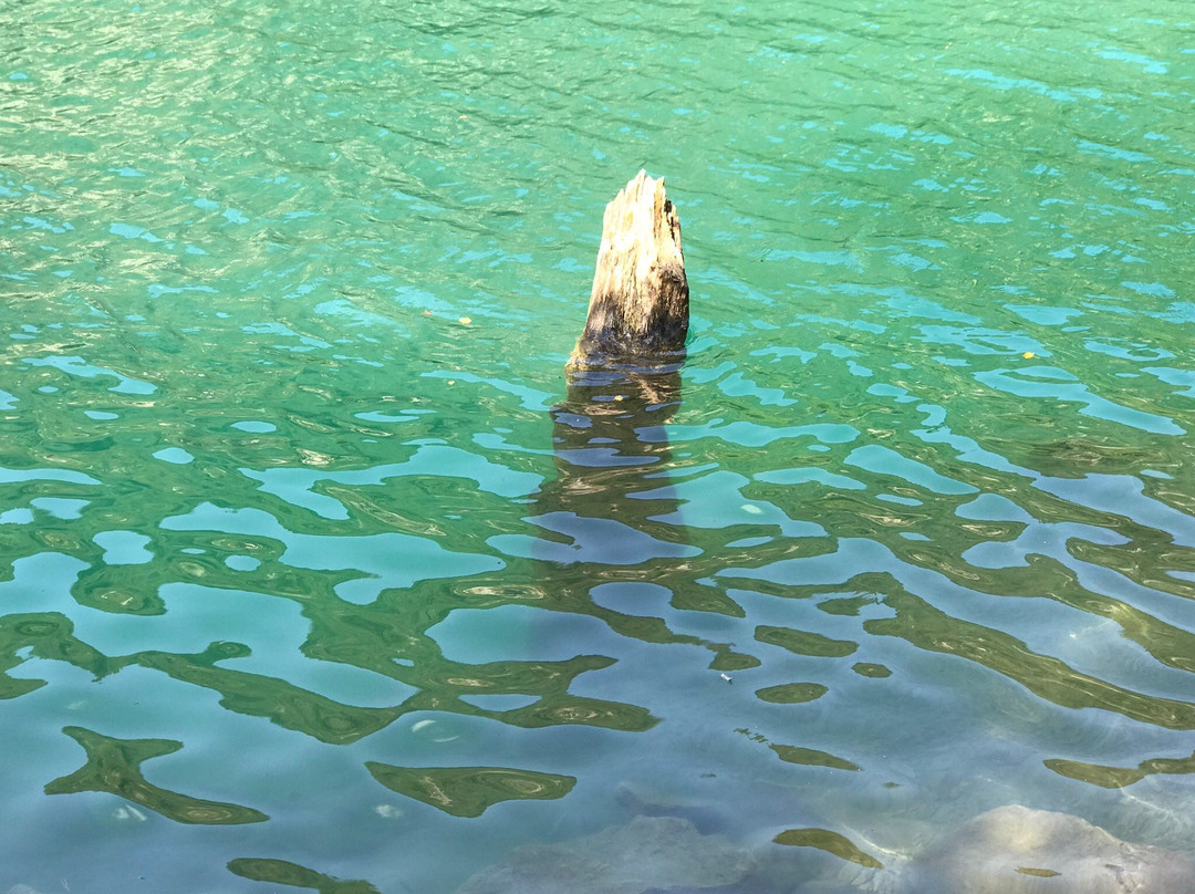 gite l'Escargot主图