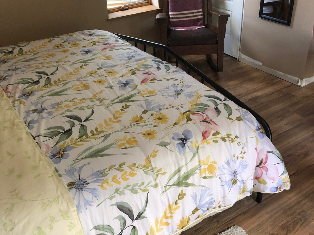 上校住宿加早餐酒店主图