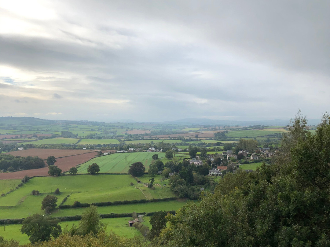 Coppett Hill