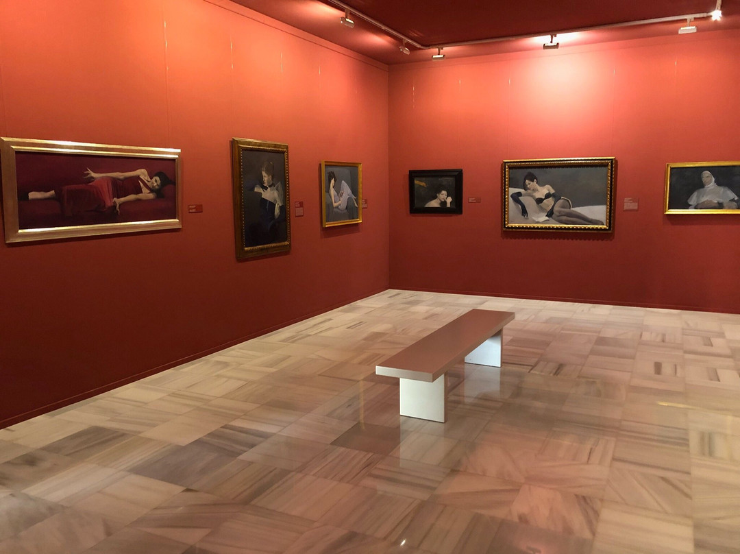 Museo Casa Ibanez景点图片