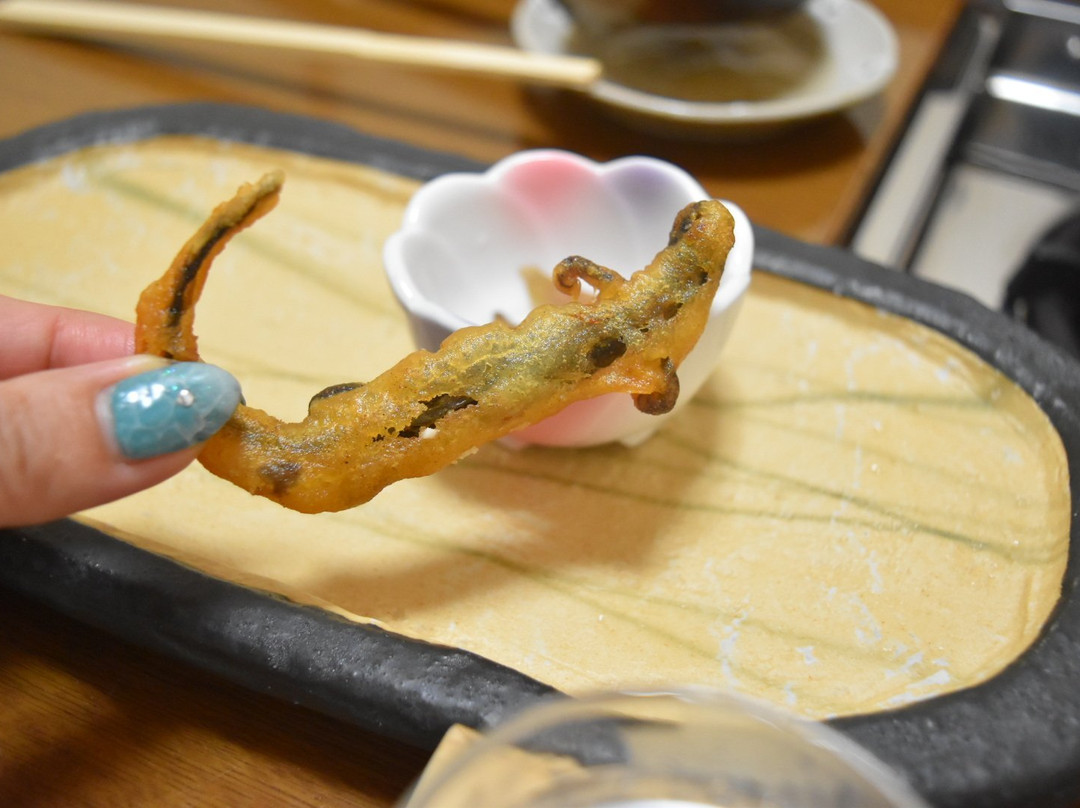 Ryokan Hinoemata主图