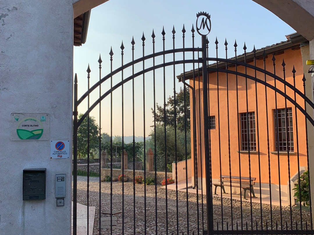 Agriturismo Corte Olfino主图