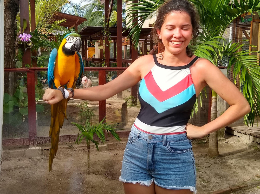 Anderson Passeios-Maceio必去景点