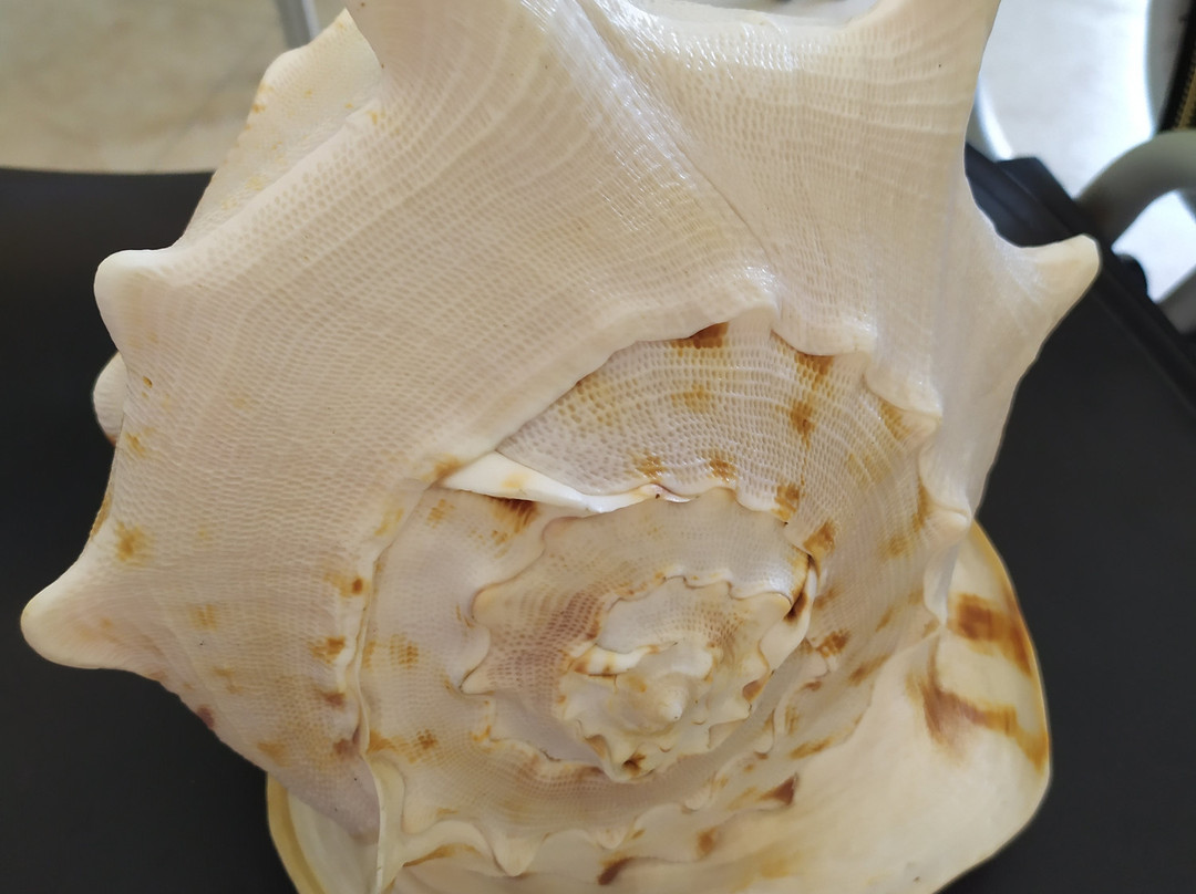 Geological History Museum Olympus景点图片