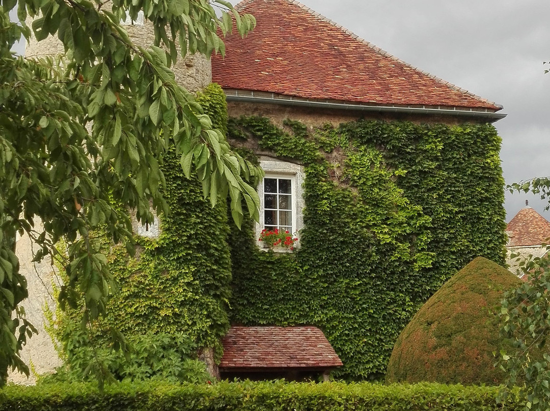 Château De Ribourdin主图