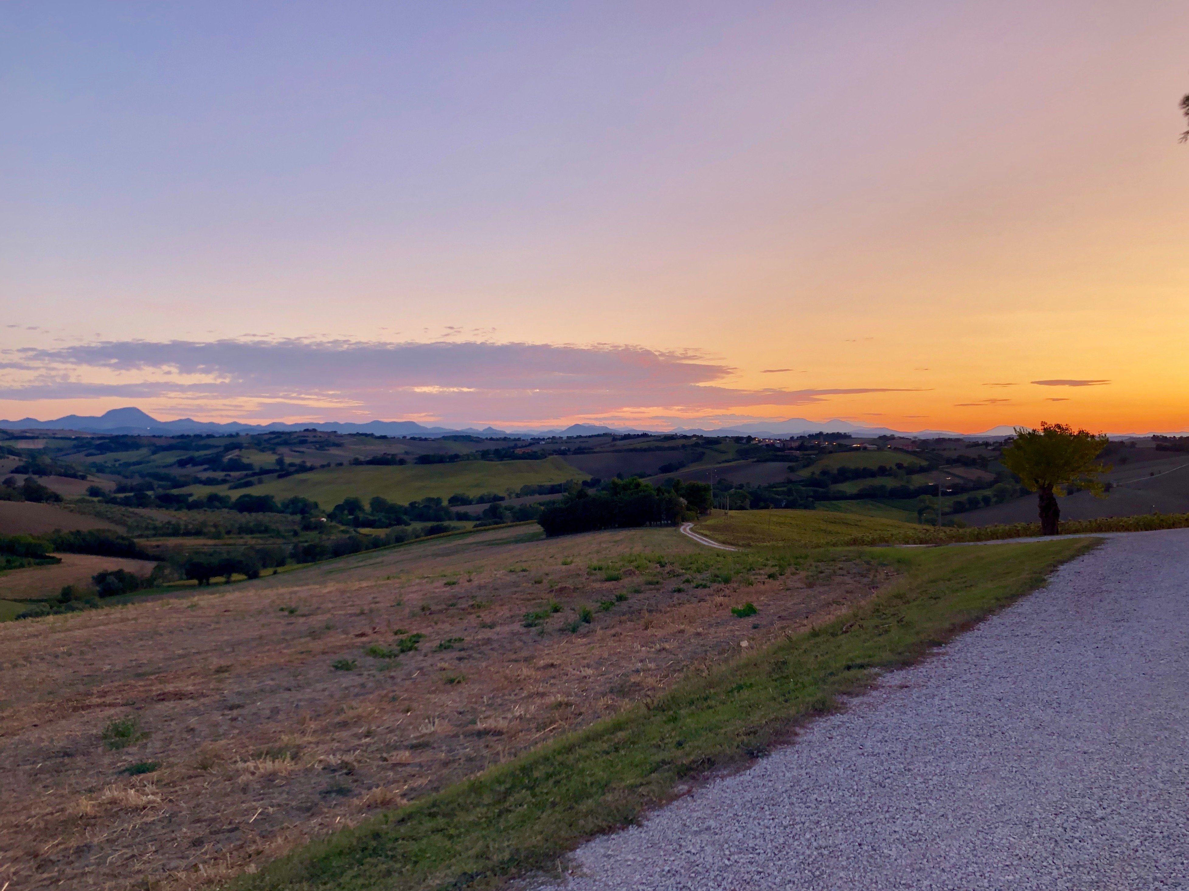Agriturismo La Quiete-酒店景观