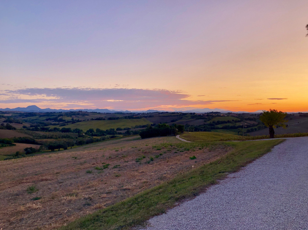 Agriturismo La Quiete主图