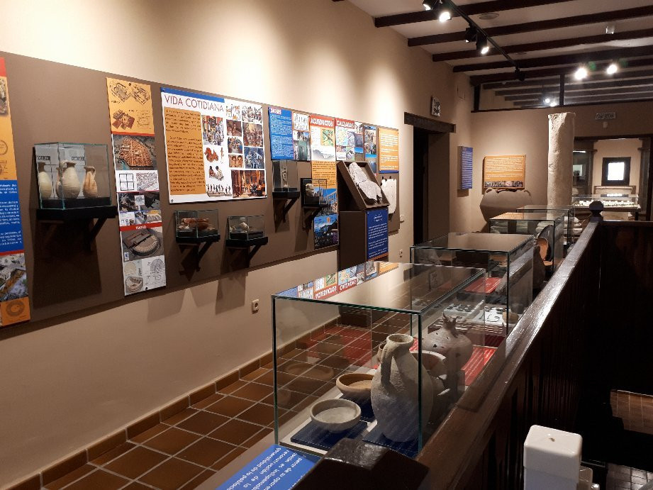 Museo Municipal de Palma del Río景点图片