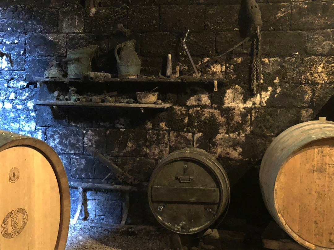 Domaine PL & JF Bersan-Saint-Bris-le-Vineux必去景点