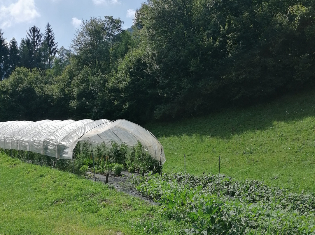 Agritur Al Marter主图