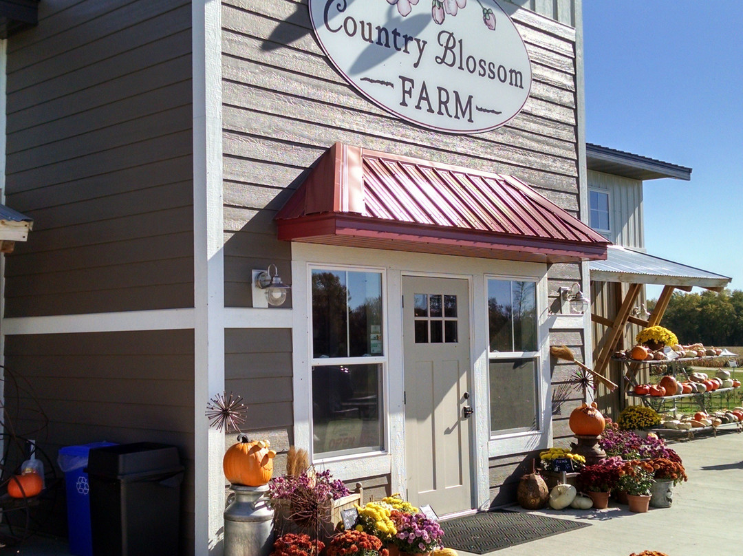 Country Blossom Farm, LLC景点图片