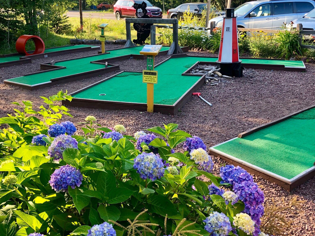 Into the Woods Mini Golf and Gardens景点图片