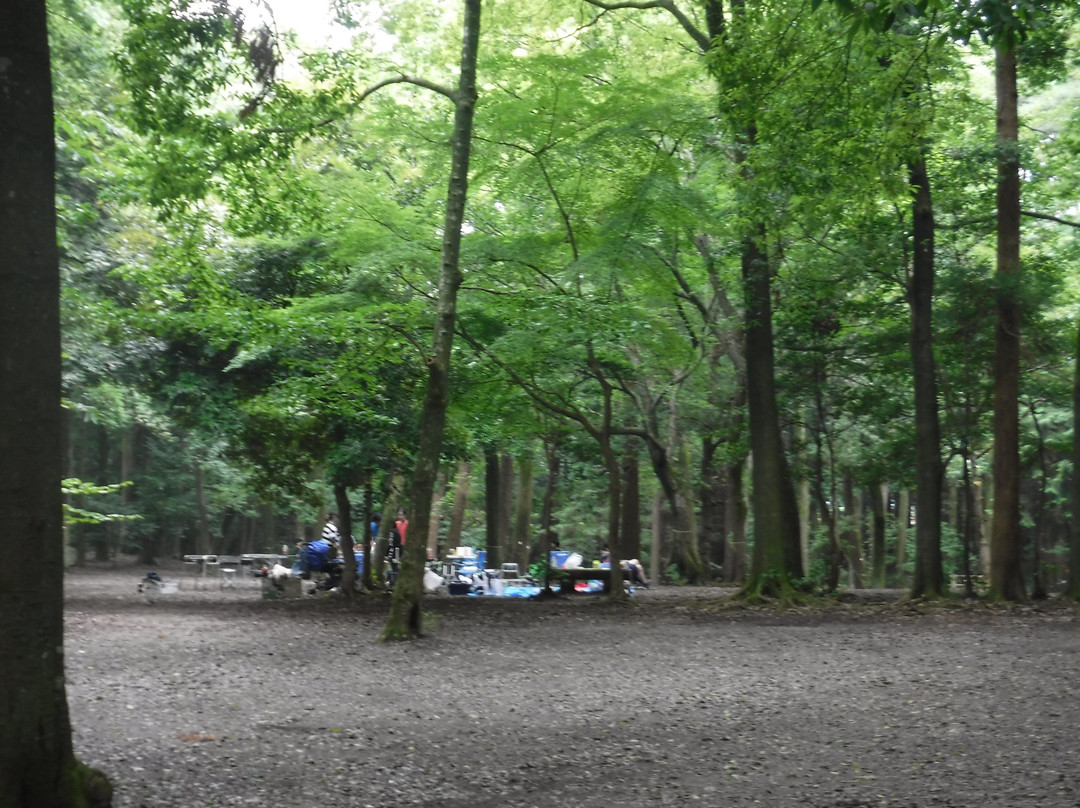 Teganooka Park-柏市必去景点