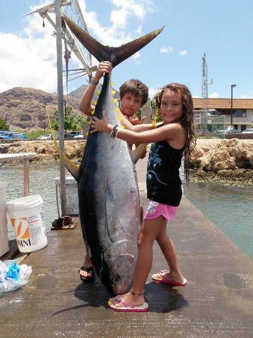Live Bait Sport Fishing-怀厄奈必去景点