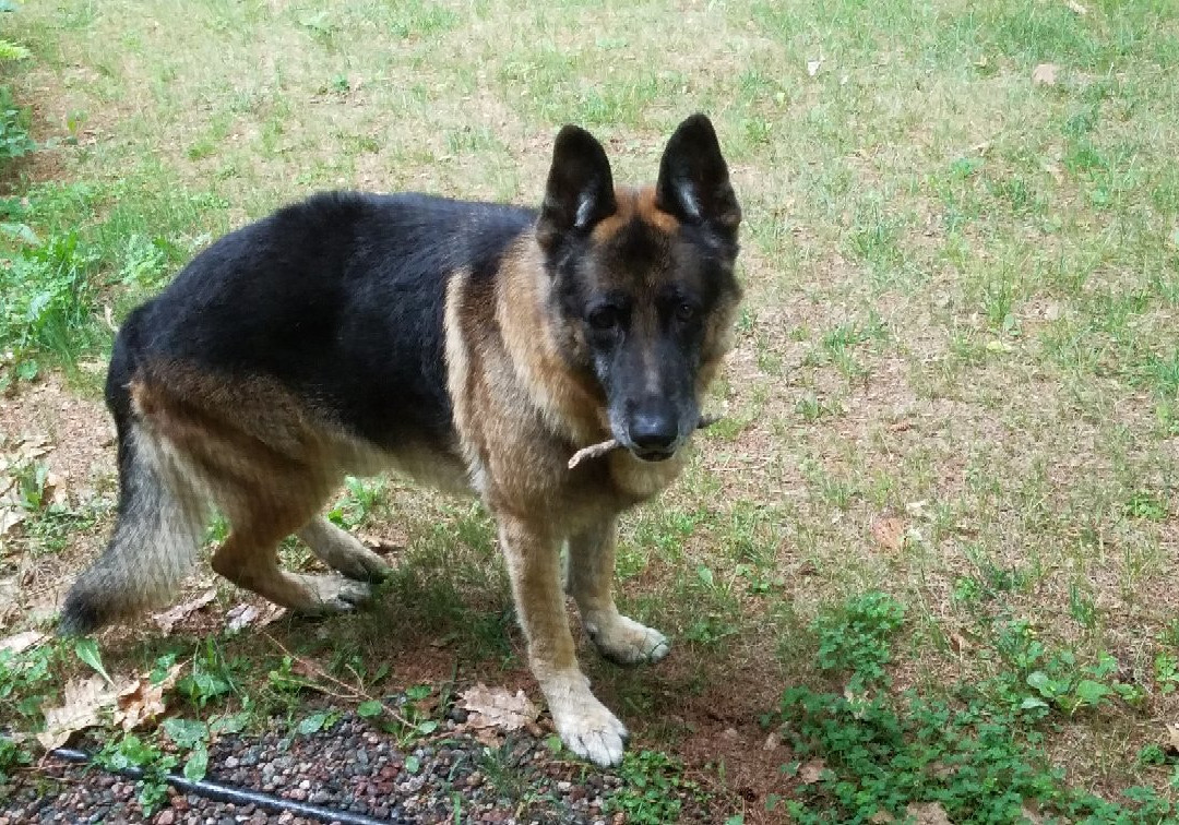 Arbor Vitae Motel主图