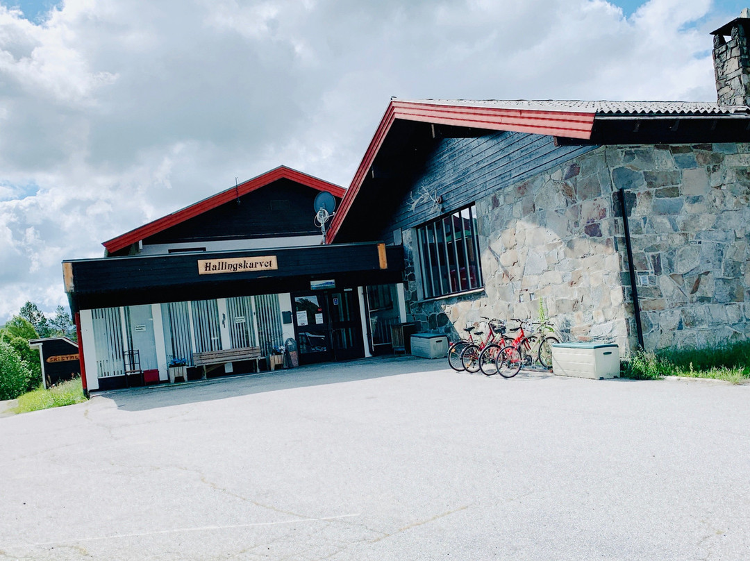 Hovet酒店住宿-Hallingskarvet Hotell