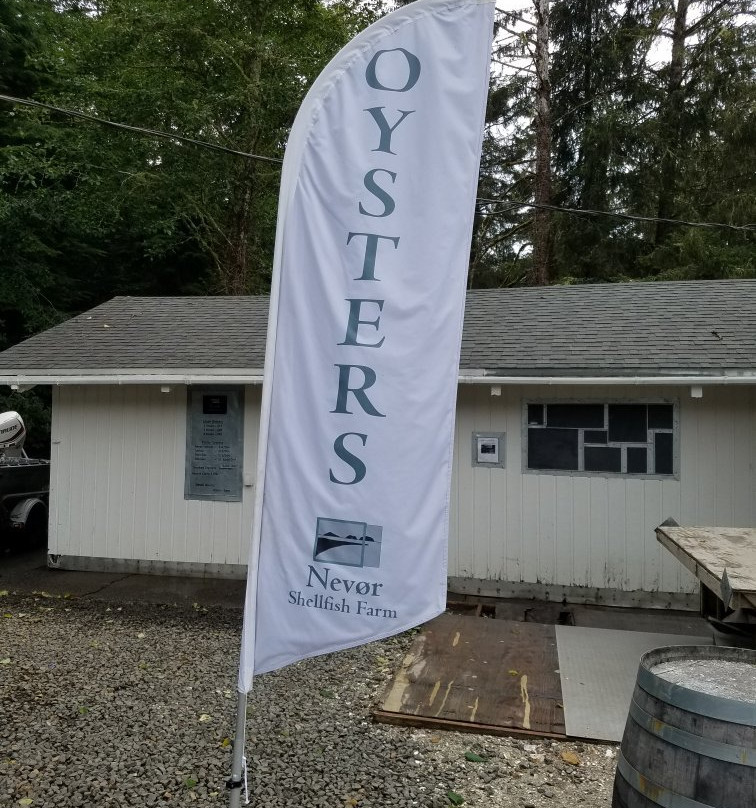 Nevør Shellfish Farm-蒂拉穆克必去景点